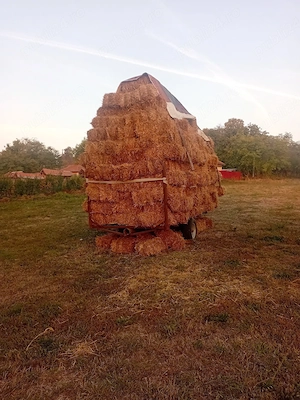 pae de vanzare.