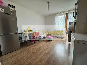 [ Drumul Fermei 3 camere cu Gradina ] - imagine 4