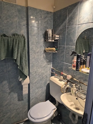 Zona Calea Șagului (Turist)   De închiriat garsonieră etaj 2, izolată termic   150   lună - imagine 9