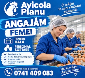 Angajăm femei, pentru hale și depozit.