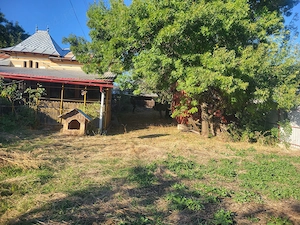 Casa Gliganul de jos - imagine 4