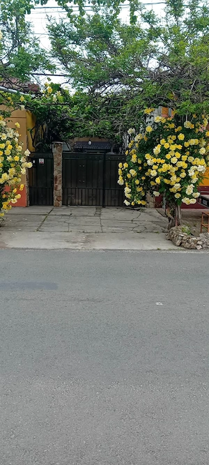 Vând casa Aradul nou