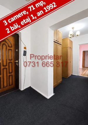 Proprietar 3 camere 2 bai 1992 clasa A etaj 1 Lacul Tei Maica Domnului Alexandru cel Bun  - imagine 6