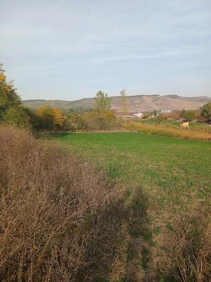 vand pamant intravilan la spatac de 1600 de metri patrati - imagine 4