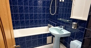 Parcul Sebastian-Gradina-2 camere - imagine 8