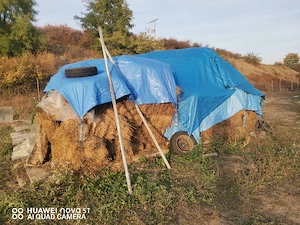 Vand baloti mici de lucernă 