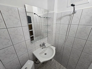 Proprietar 1 cam. zona Buziasului, renovat - imagine 4