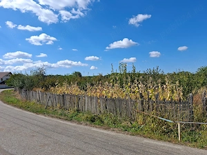 De vânzare Gospodărie completă cu casă utilată, anexe, curte și livadă mare   6.243 mp, Cuca, sat Câ - imagine 3