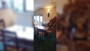 Vila restaurant, ( vânzare/închiriere)450 mp, Turda, comision 0% - imagine 3