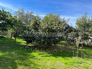 Oportunitate investitie/ Casa spatioas- zona Fratelia - imagine 3