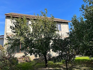 Oportunitate investitie/ Casa spatioas- zona Fratelia - imagine 4