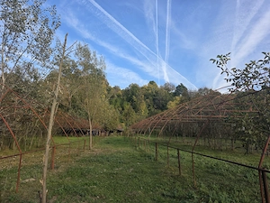 Inchiriere teren 5,000 mp