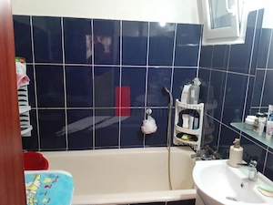 Vânzare apartament 2 camere Șos. Giurgiului - imagine 3