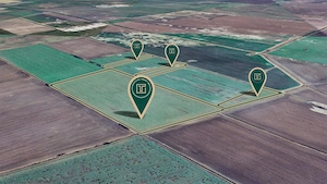 Teren agricol de 11,75 ha de vânzare, la 1,5 km de Turnu, jud. Arad - imagine 4