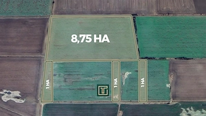 Teren agricol de 11,75 ha de vânzare, la 1,5 km de Turnu, jud. Arad