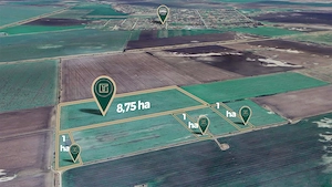 Teren agricol de 11,75 ha de vânzare, la 1,5 km de Turnu, jud. Arad - imagine 2