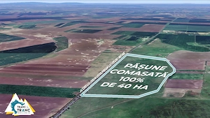 Teren PASUNE de 40ha, Comasat 100%, cu FS de 961 ml la Drumul European - imagine 4