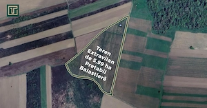 Teren extravilan de 5,99 ha la 200 m de Mureș, ideal pentru balastieră în Ususău - imagine 2