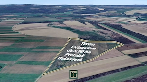 Teren extravilan de 5,99 ha la 200 m de Mureș, ideal pentru balastieră în Ususău - imagine 5