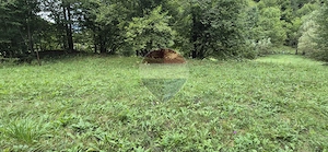 Teren de vis de 2.800 mp pe Valea Tărcăului – Cu lac natural și pădure - imagine 6