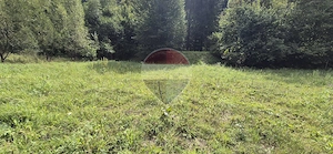 Teren de vis de 2.800 mp pe Valea Tărcăului – Cu lac natural și pădure - imagine 5
