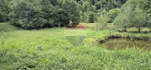 Teren de vis de 2.800 mp pe Valea Tărcăului – Cu lac natural și pădure - imagine 7