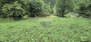 Teren de vis de 2.800 mp pe Valea Tărcăului – Cu lac natural și pădure - imagine 4
