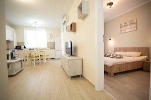 Adora Park Arad & Ared City   Apartament 2 camere LUX   parcare   terasă   regim hotelier - imagine 8