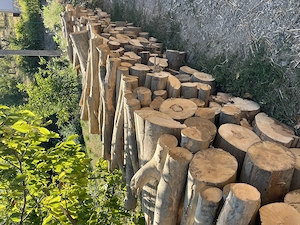 Lemn de foc de vânzare 