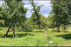 CASĂ de VÂNZARE în LUDEȘTI, com Orăștioara de Sus   jud.  Hunedoara  - imagine 7