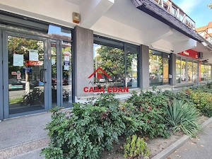 Spatiu comercial ultracentral--172 mp--2000e+tva - imagine 3