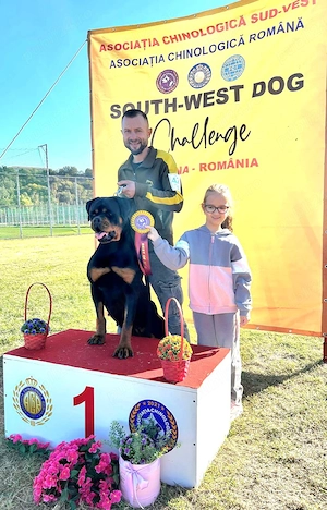 Pui Rottweiler cu pedigree  - imagine 5