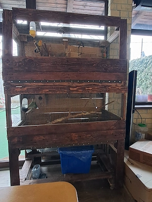 Vand Voliera, Cotet Animale mici