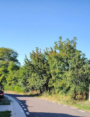 Vand  9000 mp terenuri vilan si extravilan sat Barcanesti Candesti-Neamt - IDEAL AFACERE TURISTICA - imagine 2