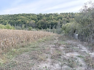Teren intravilan Topoloveni, 1100mp, zona linistita,  - imagine 2