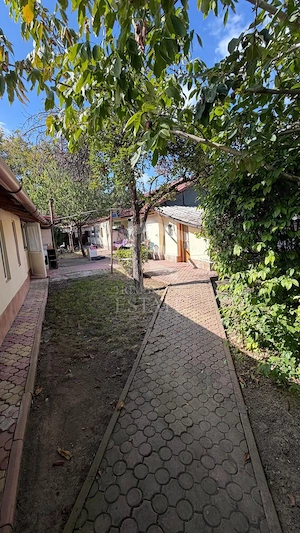 Teren de vanzare Colentina, Andronache strada Mentiunii - imagine 5