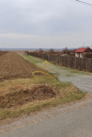 DE VÂNZARE – TEREN 1.000 MP | SIRETU, COMUNA SĂUCEȘTI, BACĂU - imagine 5