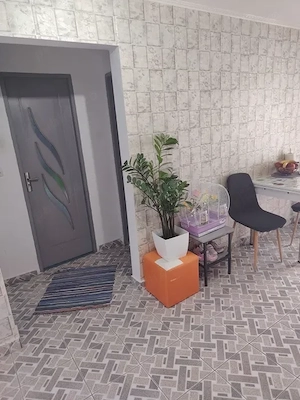 Apartament cu 2 camere în zona Calea Lipovei - imagine 4