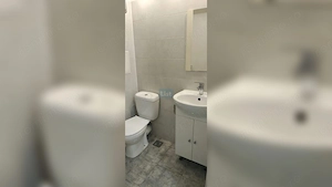 Apartament Parter Renovat Complet Zona Nord - imagine 5