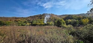 Căianu | Teren intravilan 2.800 mp | Casă + 2 anexe | 69.000 € - imagine 7