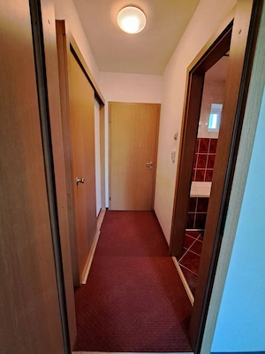 Apartament 4 camere, zona Vlaicu, Lebada, etaj 3 - imagine 6