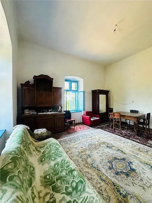 DE VANZARE CONAC  CU TEREN 8330  MP ZONA MELINESTI LA 20 KM CRAIOVA  DOLJ - imagine 4