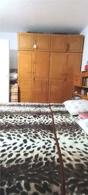 Vanzare apartament 2 camere, parter cu centrala - Sagului - Dambovita - imagine 6
