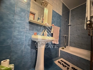 Apartament cu 1 camera la curte comuna, in zona Balcescu, Timisoara - imagine 3