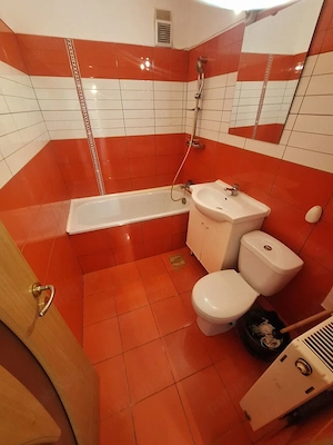 Apartament 2 camere, 50 m2, decomandat, Zona Lipovei, mobilat, utilat. bloc anvelopat - imagine 12