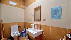 Spatiu comercial    hala de inchiriat,  Central  Timisoara - imagine 8