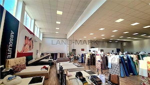 Spatiu comercial    hala de inchiriat,  Central  Timisoara - imagine 3