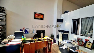 Spatiu comercial    hala de inchiriat,  Central  Timisoara - imagine 9