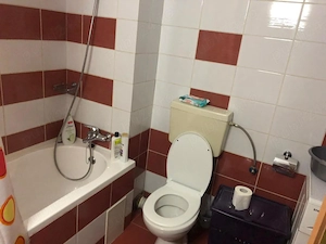 Apartament cu 1 camera in Marasti,zona Iulius Mall, bloc nou - imagine 4