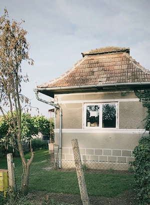Casă complet renovată, teren 4.000 mp, vie și pomi fructiferi în Călărași (Jud. Cluj, la mică distan - imagine 5